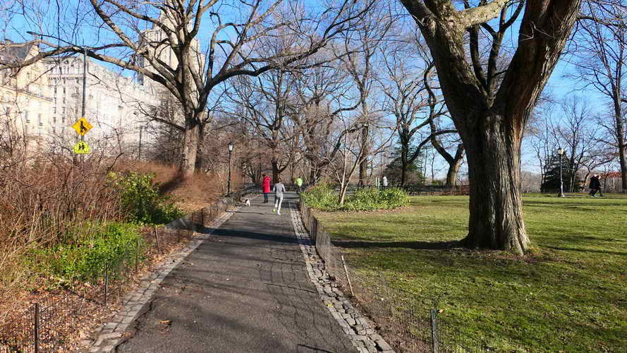 NYC_2020-01-26 09-45-24_P1070578